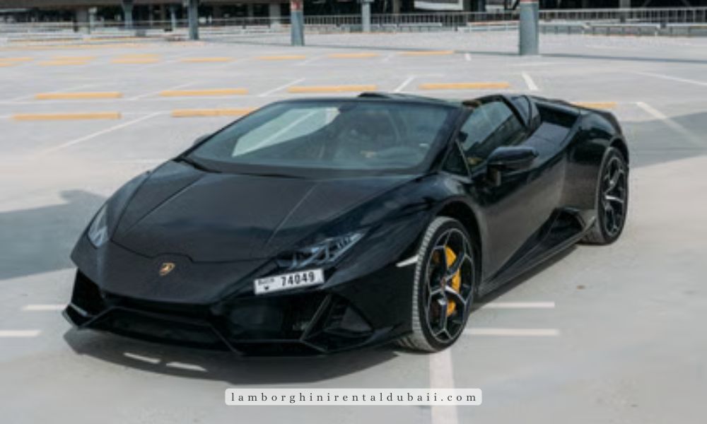 Cars Rental